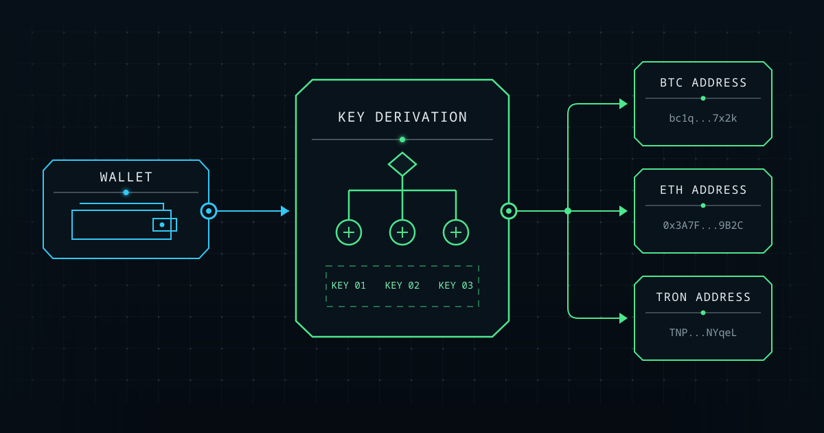 Diagram connecting a crypto wallet through derived keys to Bitcoin, Ethereum, and Tron addresses